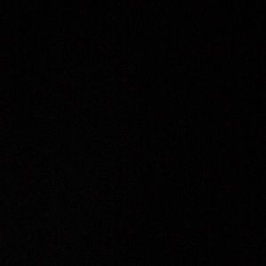 Meet your Posher, Travis